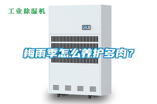 梅雨季怎么養護多肉？