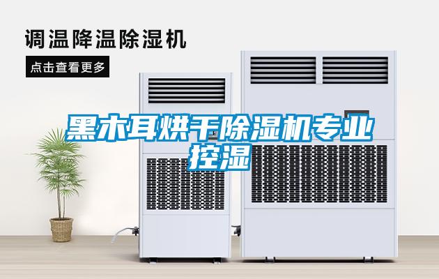 黑木耳烘干除濕機專(zhuān)業(yè)控濕