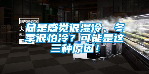 總是感覺(jué)很濕冷、冬季很怕冷？可能是這三種原因！