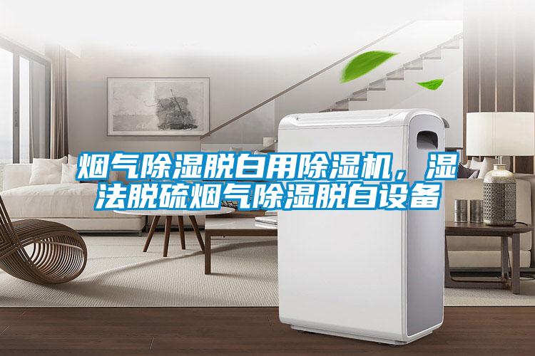 煙氣除濕脫白用除濕機，濕法脫硫煙氣除濕脫白設備