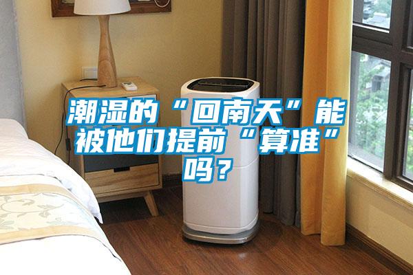 潮濕的“回南天”能被他們提前“算準”嗎？