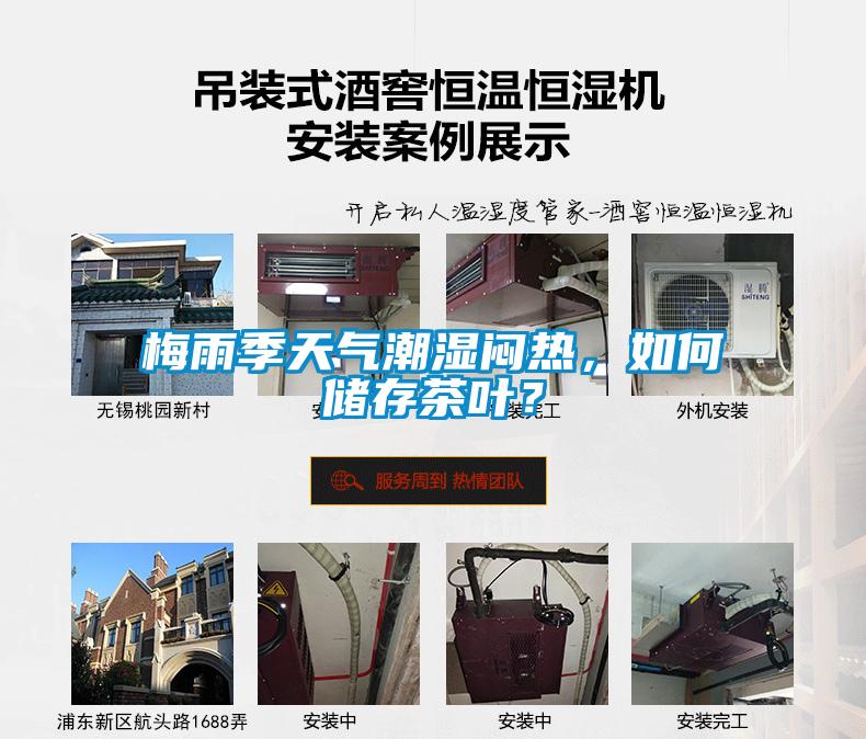 梅雨季天氣潮濕悶熱，如何儲存茶葉？
