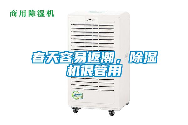 春天容易返潮，除濕機很管用