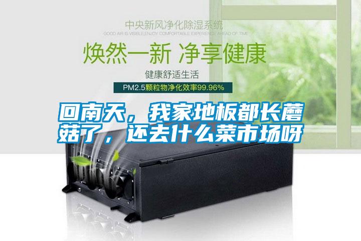 回南天，我家地板都長(cháng)蘑菇了，還去什么菜市場(chǎng)呀