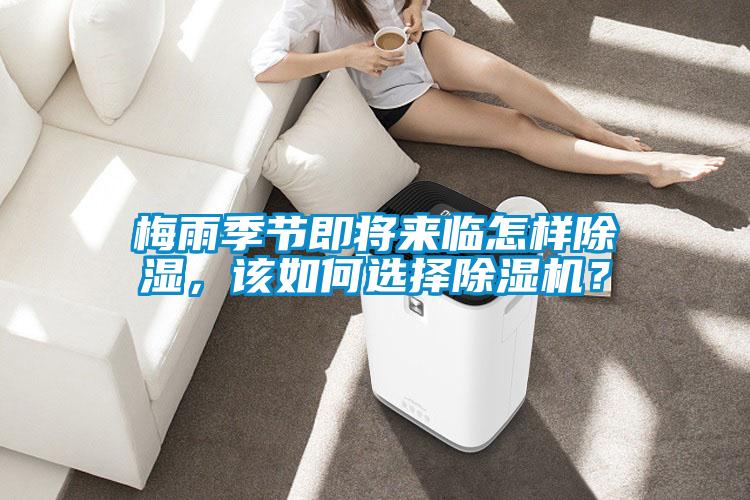 梅雨季節即將來(lái)臨怎樣除濕，該如何選擇除濕機？