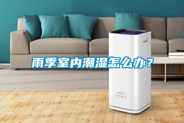 雨季室內潮濕怎么辦？