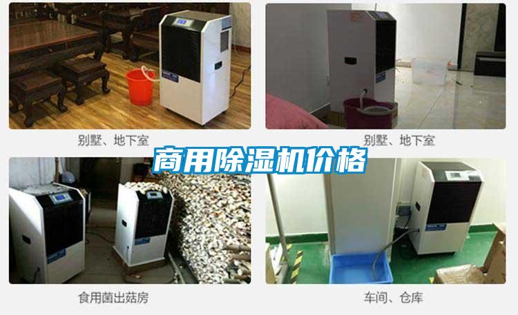 商用除濕機價(jià)格