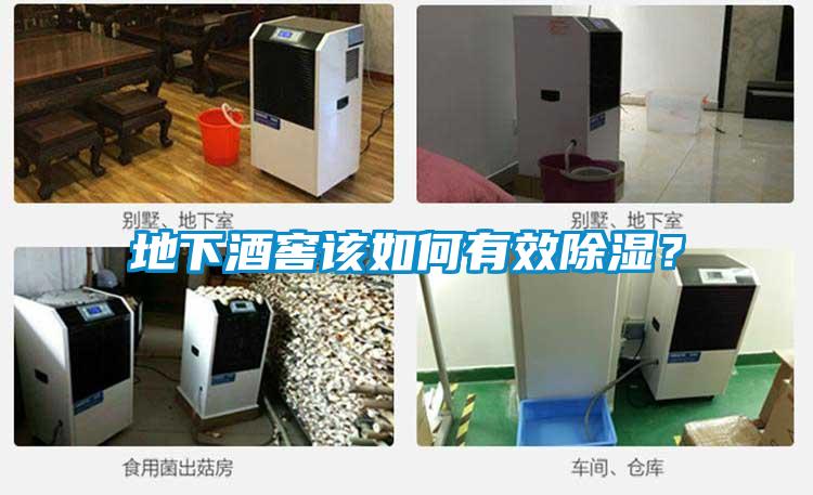 地下酒窖該如何有效除濕？