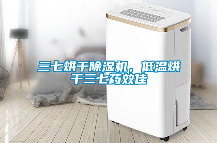 三七烘干除濕機，低溫烘干三七藥效佳