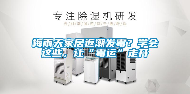 梅雨天家居返潮發(fā)霉？學(xué)會(huì )這些，讓“霉運”走開(kāi)