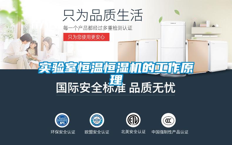 實(shí)驗室恒溫恒濕機的工作原理
