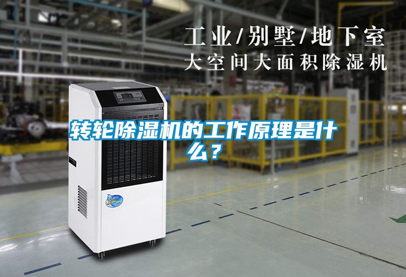 轉輪除濕機的工作原理是什么？