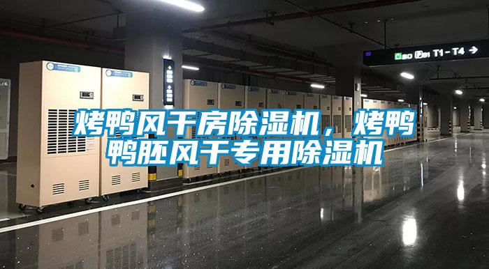 烤鴨風(fēng)干房除濕機，烤鴨鴨胚風(fēng)干專(zhuān)用除濕機