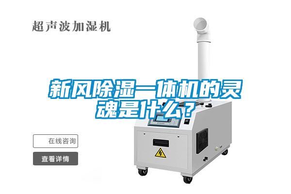 新風(fēng)除濕一體機的靈魂是什么？