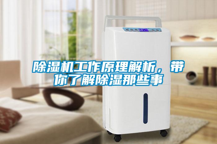 除濕機工作原理解析，帶你了解除濕那些事