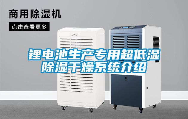 鋰電池生產(chǎn)專(zhuān)用超低濕除濕干燥系統介紹