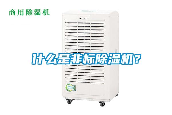 什么是非標除濕機？