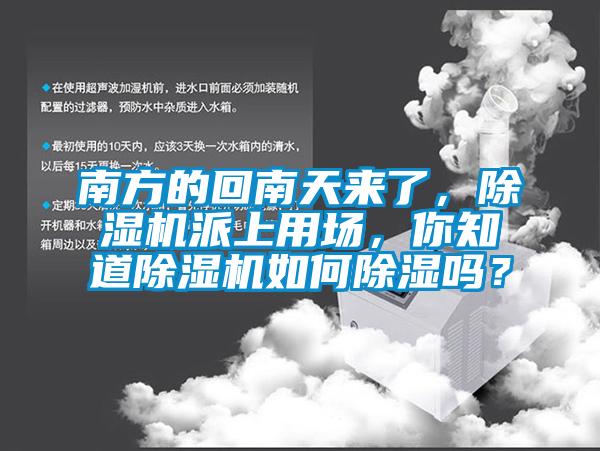 南方的回南天來(lái)了，除濕機派上用場(chǎng)，你知道除濕機如何除濕嗎？
