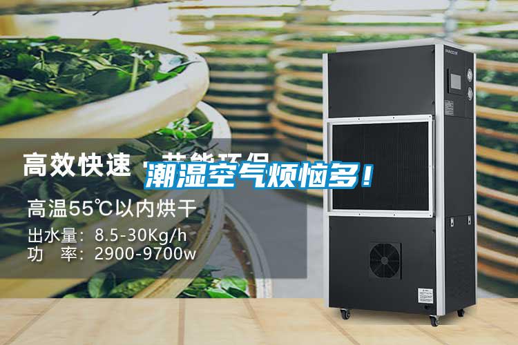 潮濕空氣煩惱多！
