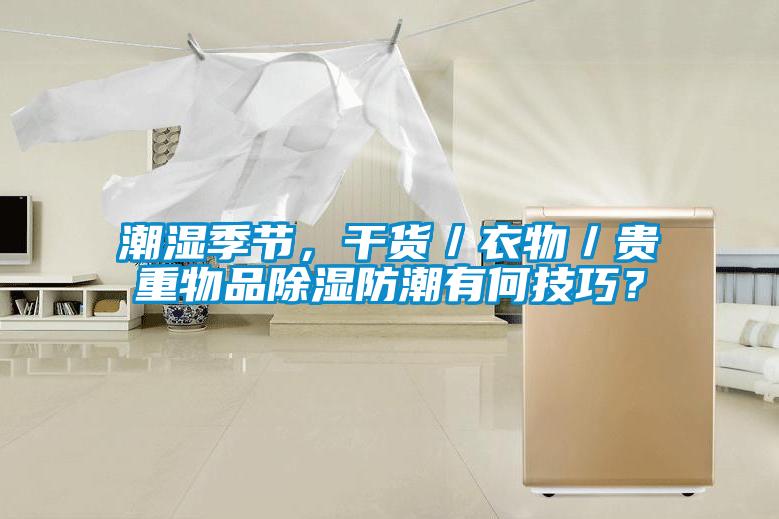 潮濕季節，干貨／衣物／貴重物品除濕防潮有何技巧？