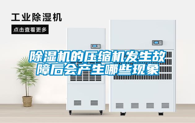 除濕機的壓縮機發(fā)生故障后會(huì )產(chǎn)生哪些現象