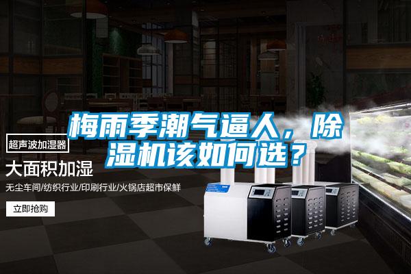 梅雨季潮氣逼人，除濕機該如何選？