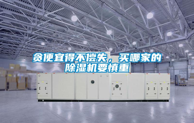 貪便宜得不償失，買(mǎi)哪家的除濕機要慎重