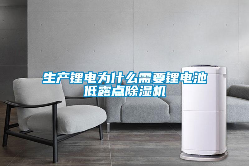 生產(chǎn)鋰電為什么需要鋰電池低露點(diǎn)除濕機