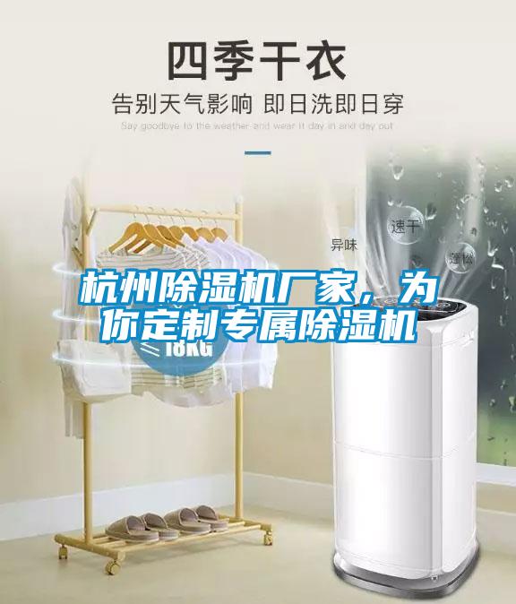 杭州除濕機廠(chǎng)家，為你定制專(zhuān)屬除濕機