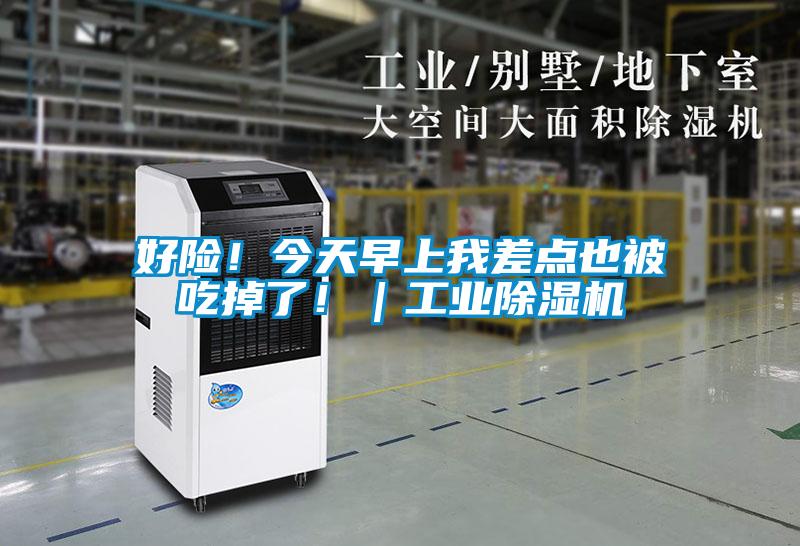 好險！今天早上我差點(diǎn)也被吃掉了?。I(yè)除濕機