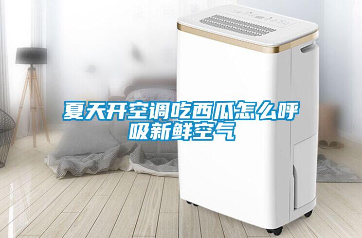 夏天開(kāi)空調吃西瓜怎么呼吸新鮮空氣