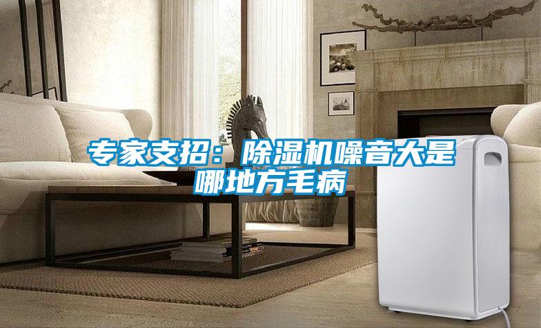 專(zhuān)家支招：除濕機噪音大是哪地方毛病