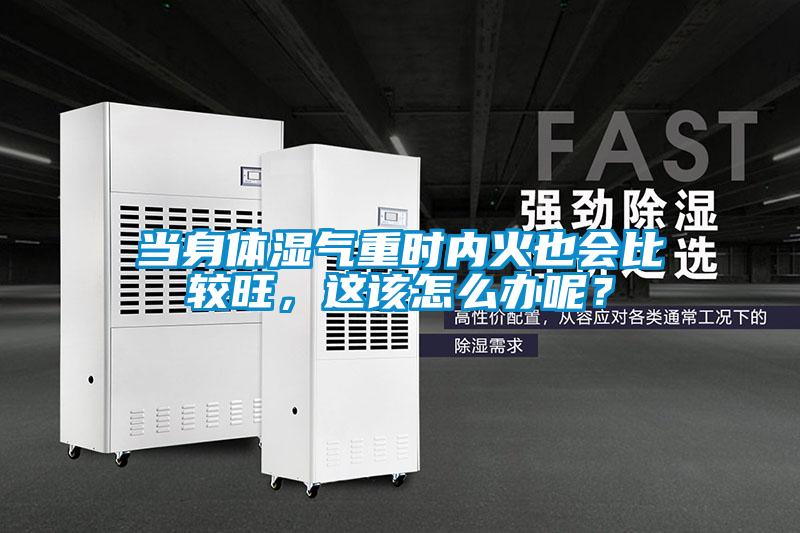 當身體濕氣重時(shí)內火也會(huì )比較旺，這該怎么辦呢？