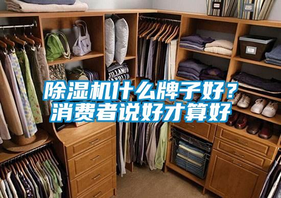 除濕機什么牌子好？消費者說(shuō)好才算好