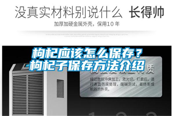 枸杞應該怎么保存？枸杞子保存方法介紹