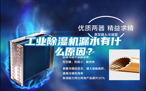 工業(yè)除濕機漏水有什么原因？