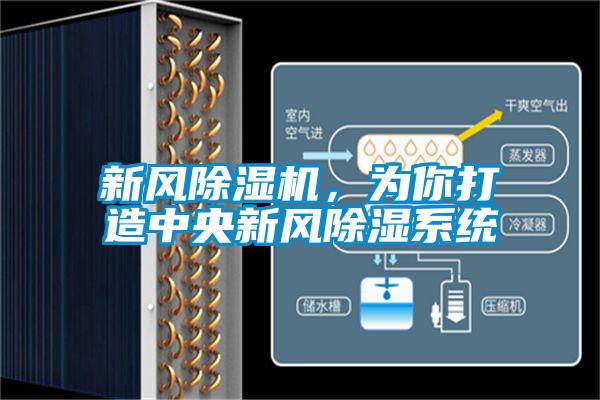 新風(fēng)除濕機，為你打造中央新風(fēng)除濕系統