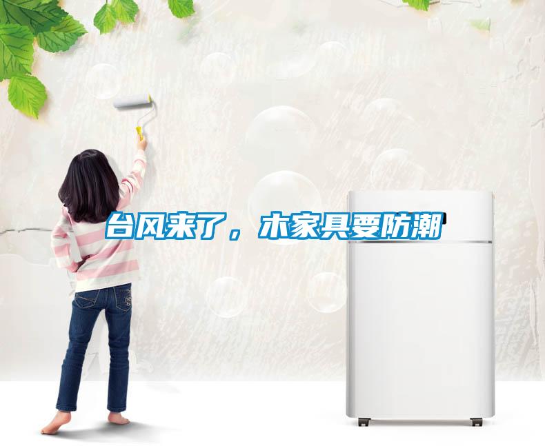 臺風(fēng)來(lái)了，木家具要防潮