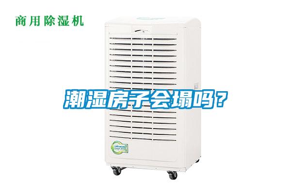 潮濕房子會(huì )塌嗎？