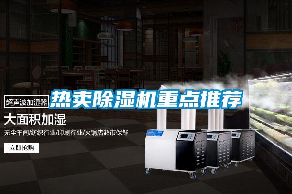 熱賣(mài)除濕機重點(diǎn)推薦