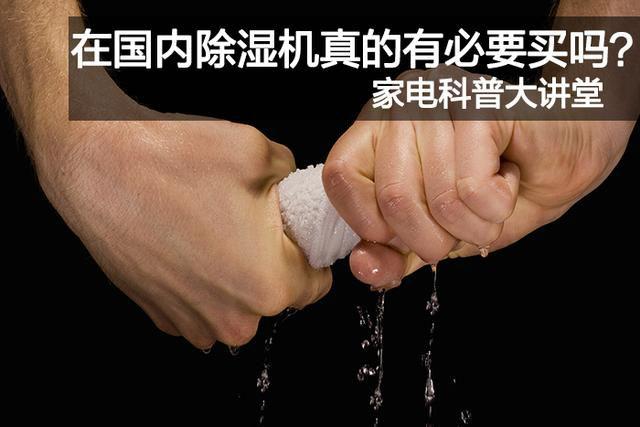 潮濕悶熱天氣，謹防狗狗中暑！
