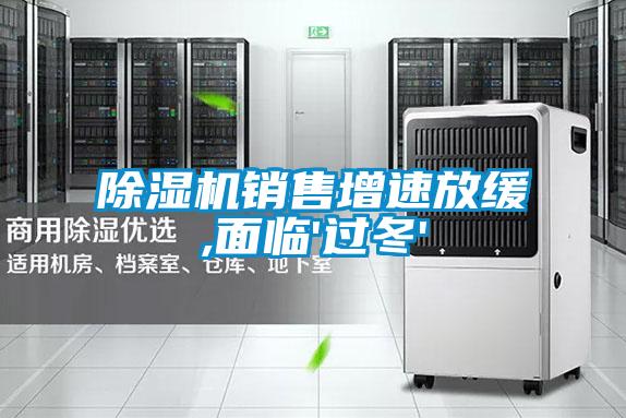 除濕機銷(xiāo)售增速放緩,面臨'過(guò)冬'