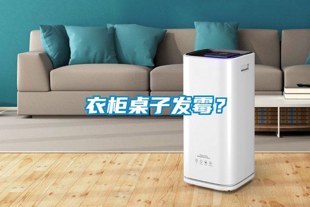 衣柜桌子發(fā)霉？