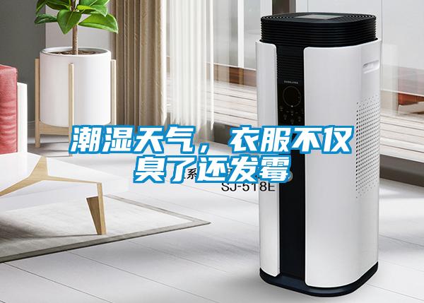 潮濕天氣，衣服不僅臭了還發(fā)霉