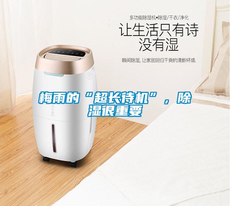 梅雨的“超長(cháng)待機”，除濕很重要