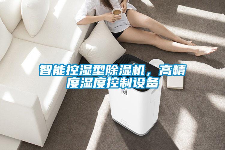 智能控濕型除濕機，高精度濕度控制設備