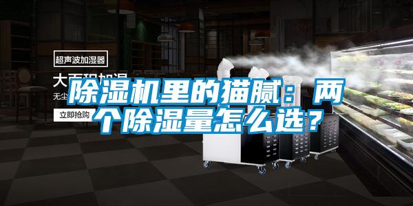 除濕機里的貓膩：兩個(gè)除濕量怎么選？