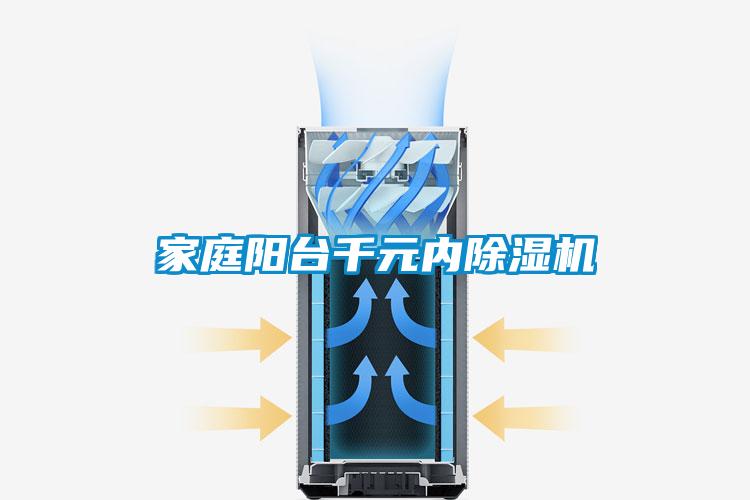 家庭陽(yáng)臺千元內除濕機