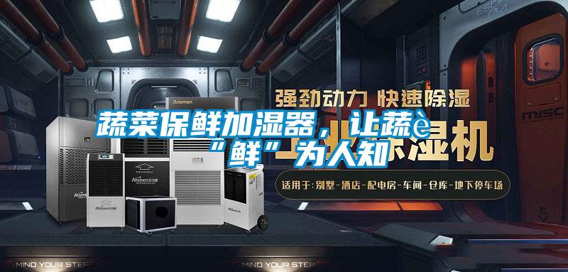 蔬菜保鮮加濕器，讓蔬菜“鮮”為人知