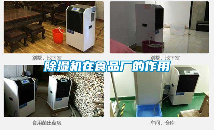 除濕機在食品廠(chǎng)的作用